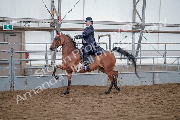 July 20, 2019 - 13903