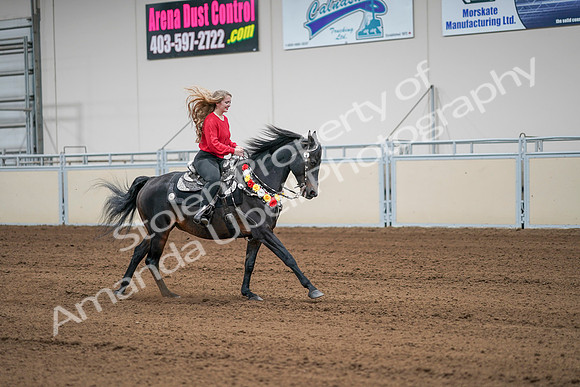 2020 - AB Morgan Horse - Sat, Sept 05 - 10543