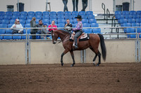 2019 Morgan Horse Show - Sept 01, 2019 - 06776