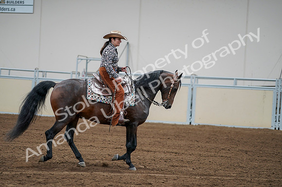 2020 - AB Morgan Horse - Fri, Sept 04 - 00332