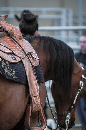 Spring Fling - Saturday - April 20, 2019  -  00911