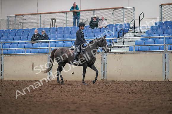 2019 Morgan Horse Show - Aug 31, 2019 - 07371