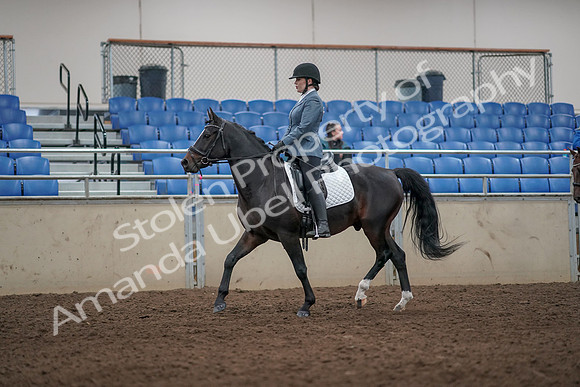 2019 Morgan Horse Show - Aug 31, 2019 - 07243
