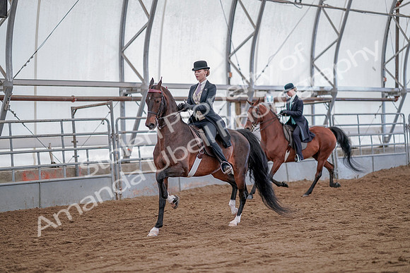 July 20, 2019 - 14517