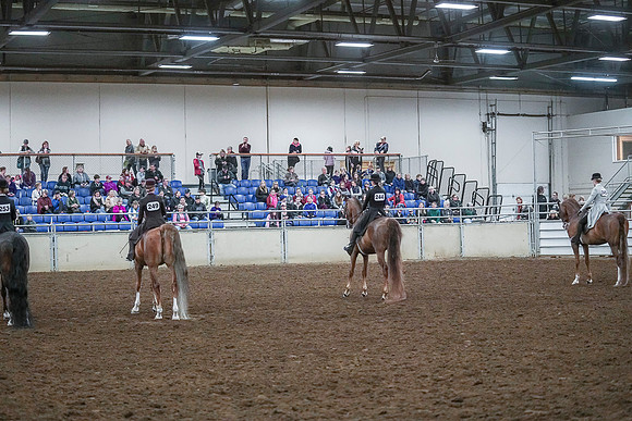 Spring Fling - Saturday - April 20, 2019  -  00588