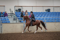 2019 Morgan Horse Show - Aug 30, 2019 - 26494