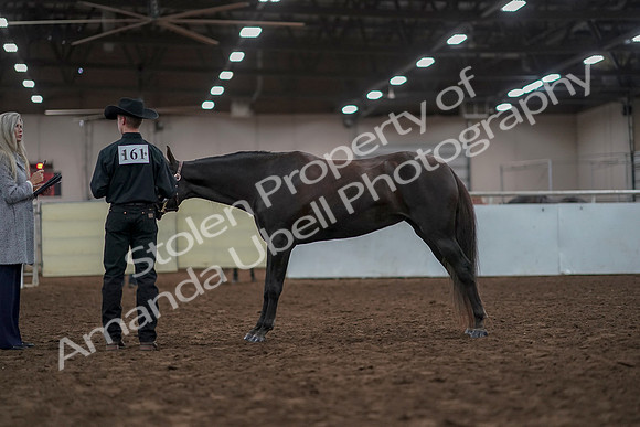 2019 Morgan Horse Show - Aug 31, 2019 - 02047
