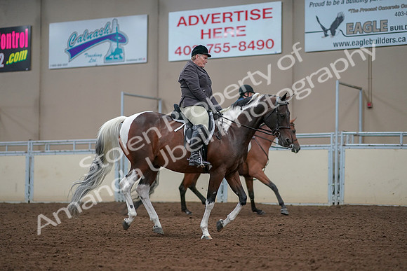 2019 Morgan Horse Show - Aug 30, 2019 - 16440