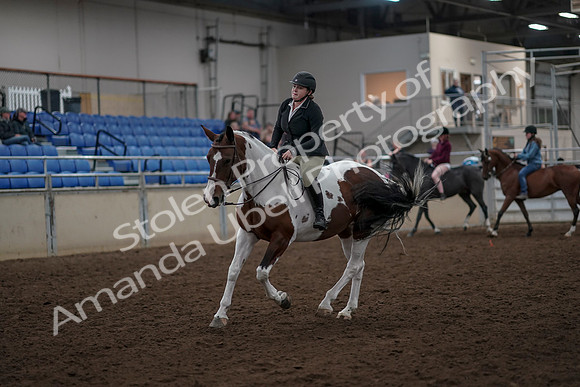 2019 Morgan Horse Show - Aug 30, 2019 - 31280