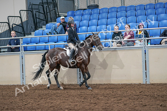 2020 - AB Morgan Horse - Sat, Sept 05 - 05126