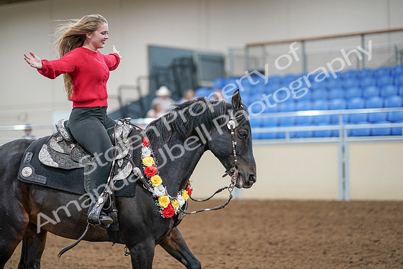 2020 - AB Morgan Horse - Sat, Sept 05 - 10559
