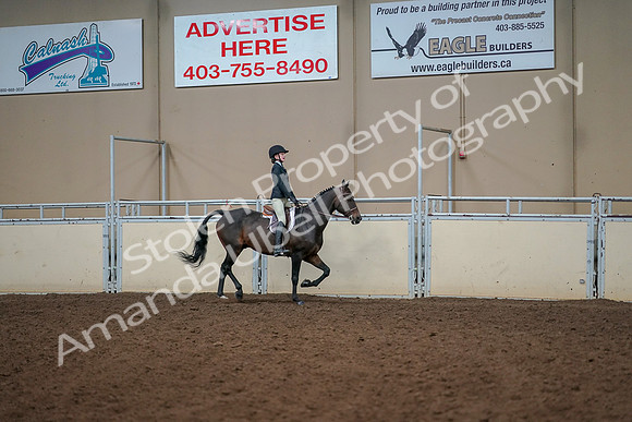 2019 Morgan Horse Show - Aug 30, 2019 - 12474