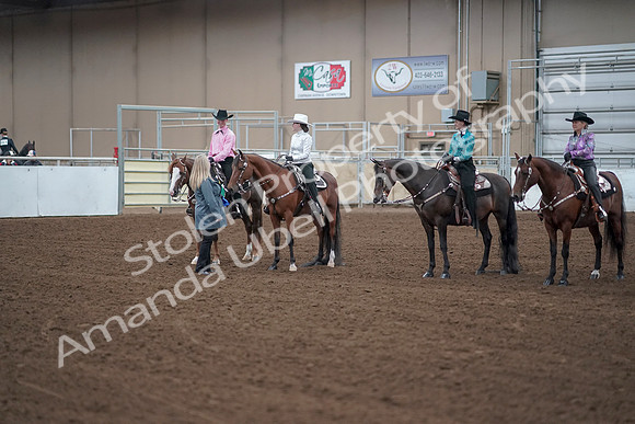 2019 Morgan Horse Show - Sept 01, 2019 - 07240
