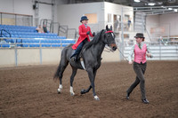 2019 Morgan Horse Show - Sept 01, 2019 - 10681_1