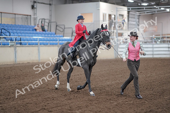 2019 Morgan Horse Show - Sept 01, 2019 - 10681_1