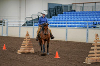 2020 - AB Morgan Horse - Fri, Sept 04 - 00021