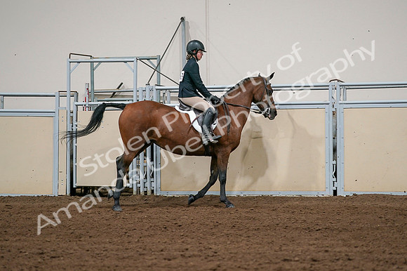 2020 - AB Morgan Horse - Fri, Sept 04 - 02102