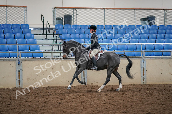2019 Morgan Horse Show - Aug 30, 2019 - 23422