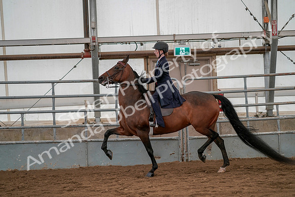 July 19, 2019 - 4006
