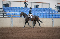 2019 Morgan Horse Show - Sept 01, 2019 - 03657