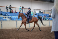 2019 Morgan Horse Show - Aug 31, 2019 - 08467