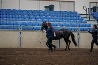 2019 Morgan Horse Show - Aug 31, 2019 - 00503