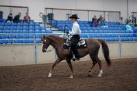 Class 110 - Morgan West Pl Amateur Jr Exhibitor