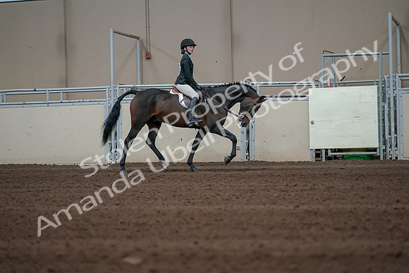 2019 Morgan Horse Show - Sept 01, 2019 - 03855