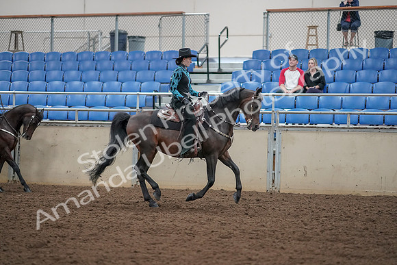 2019 Morgan Horse Show - Aug 30, 2019 - 26169