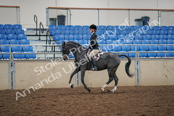 2019 Morgan Horse Show - Aug 30, 2019 - 23421