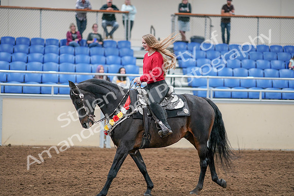 2020 - AB Morgan Horse - Sat, Sept 05 - 10461