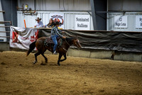 Rein - Fence/Box - Intermediate Non Pro