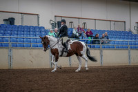 2019 Morgan Horse Show - Aug 30, 2019 - 14855