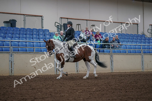 2019 Morgan Horse Show - Aug 30, 2019 - 14855