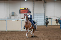 2020 - AB Morgan Horse - Sat, Sept 05 - 11361