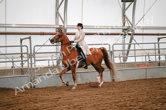 July 19, 2019 - 9005