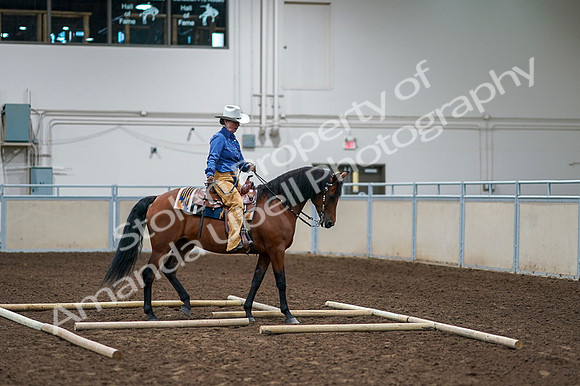 2020 - AB Morgan Horse - Fri, Sept 04 - 00270