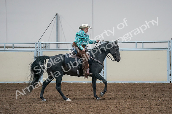 2020 - AB Morgan Horse - Fri, Sept 04 - 00610