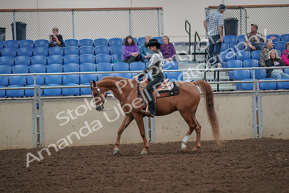 2019 Morgan Horse Show - Aug 30, 2019 - 25882