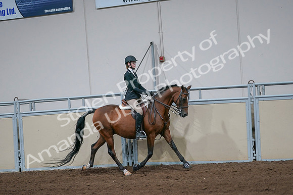 2020 - AB Morgan Horse - Fri, Sept 04 - 06005