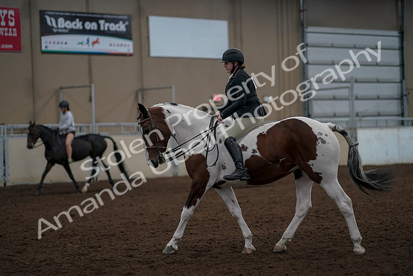 2019 Morgan Horse Show - Aug 30, 2019 - 31164