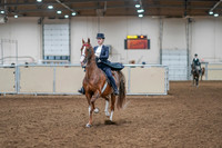 2020 - AB Morgan Horse - Sat, Sept 05 - 11367