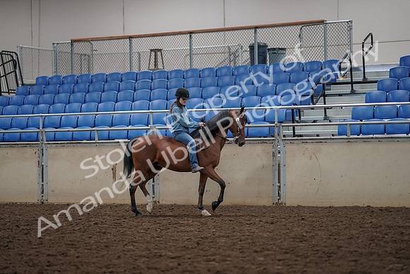 2019 Morgan Horse Show - Aug 30, 2019 - 31340