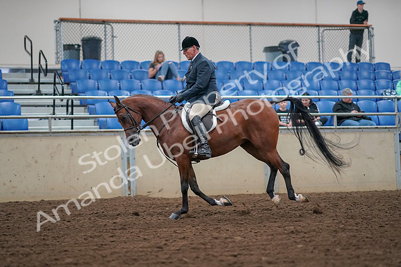 2019 Morgan Horse Show - Aug 30, 2019 - 16356