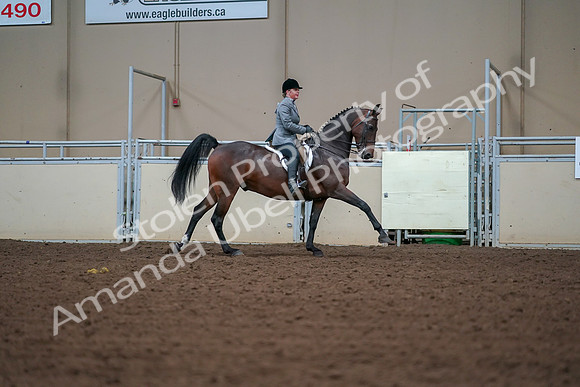 2019 Morgan Horse Show - Aug 30, 2019 - 21023