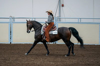2020 - AB Morgan Horse - Fri, Sept 04 - 00408
