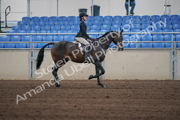 2019 Morgan Horse Show - Sept 01, 2019 - 03946