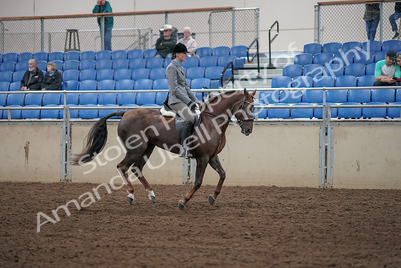 2019 Morgan Horse Show - Aug 31, 2019 - 07495