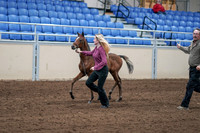 2020 - AB Morgan Horse - Sat, Sept 05 - 00468