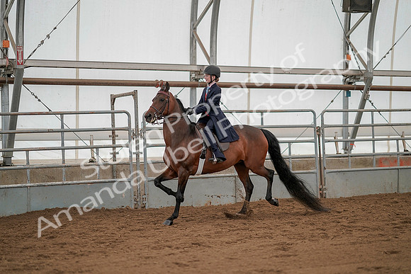 July 20, 2019 - 03739